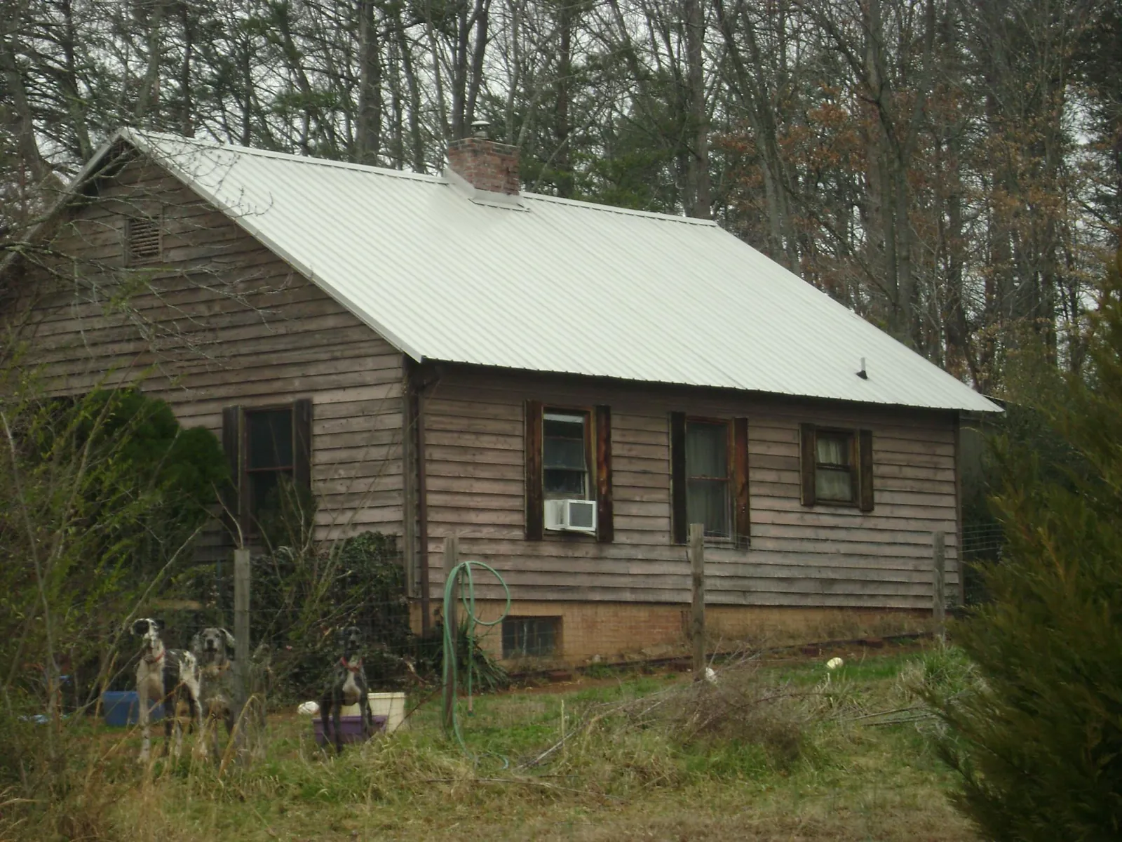 White metal roof on an old wood sided farmhouse, from a Asphalt Shingle Roof Repair job in Dunbar